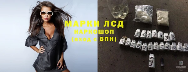 ПСИЛОЦИБИНОВЫЕ ГРИБЫ Алзамай