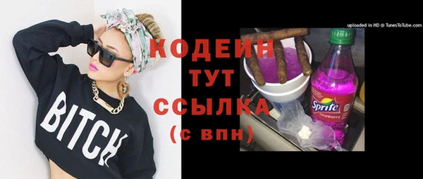 эйфоретик Арсеньев
