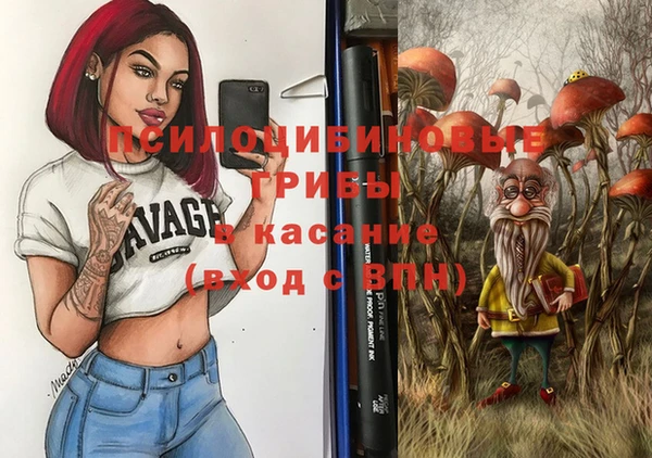 эйфоретик Арсеньев