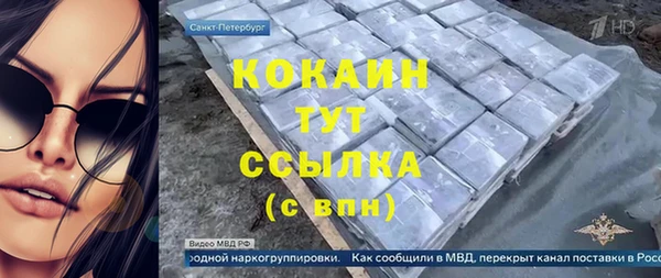 эйфоретик Арсеньев