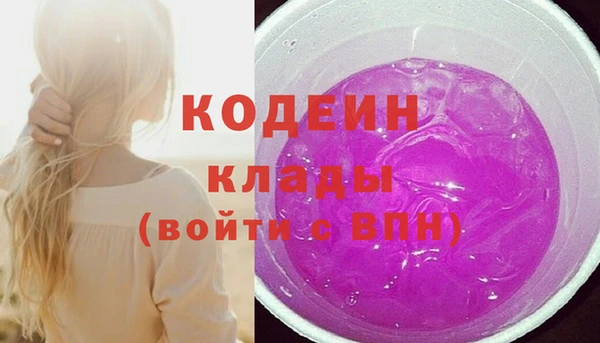 эйфоретик Арсеньев