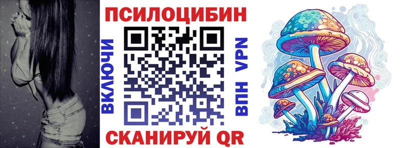 закладка  Георгиевск  Псилоцибиновые грибы прущие грибы 