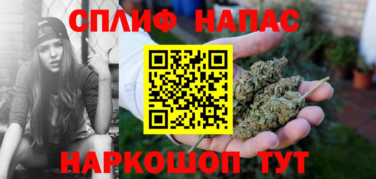 Канабис планчик Георгиевск